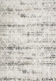 Dynamic Rugs TROYA 4604-910 Grey and Ivory